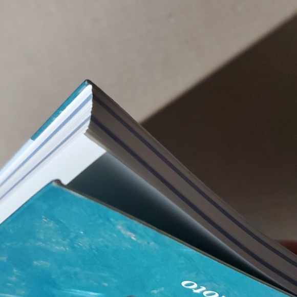 🌊 The Hidden Messages in Water Masaru Emoto 📚 - Picture 9 of 9